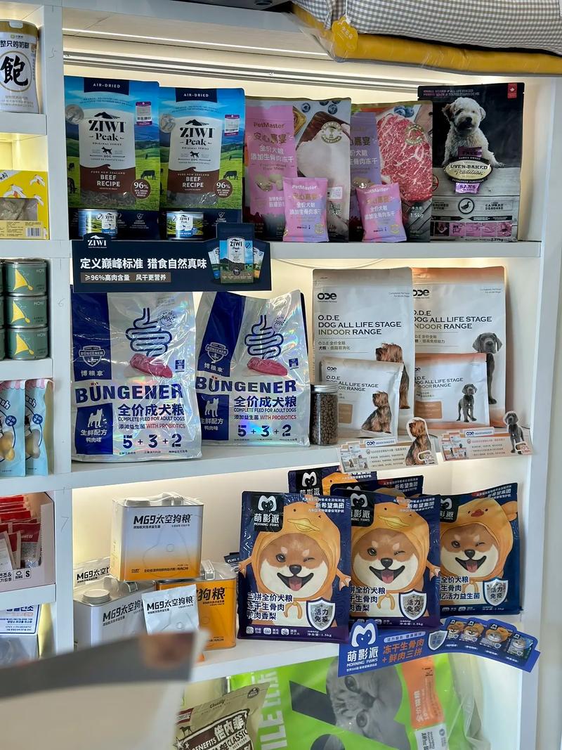 沈陽沈北新區 寵物用品店盤點與選擇指南